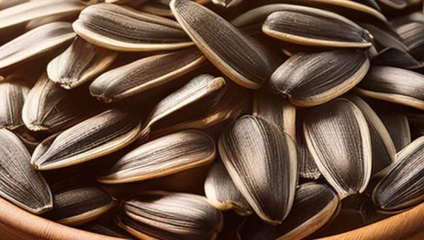 Saulespuķu sēklas