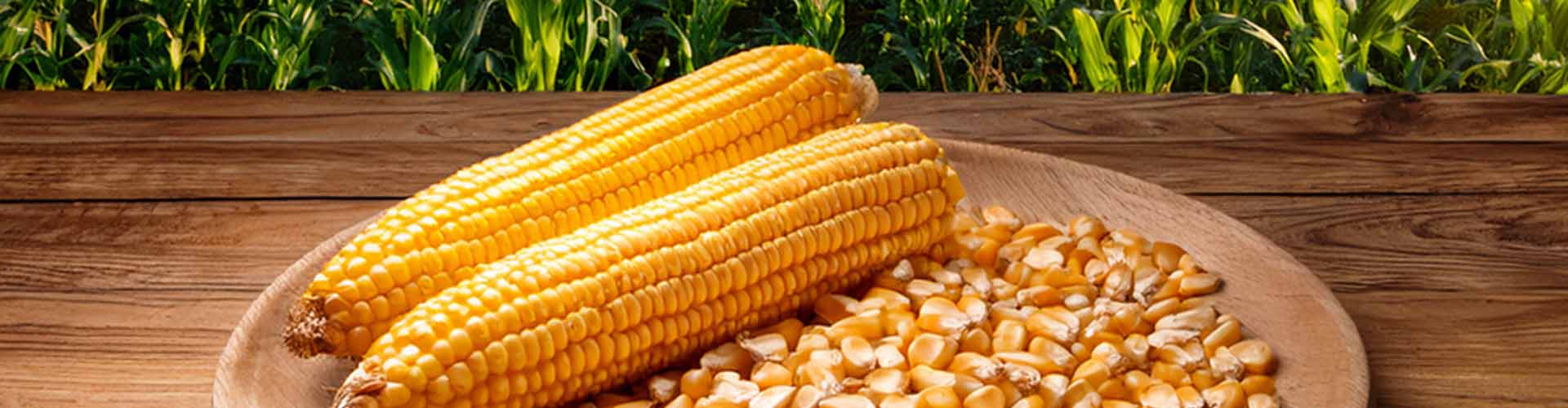 Corn Kernels
